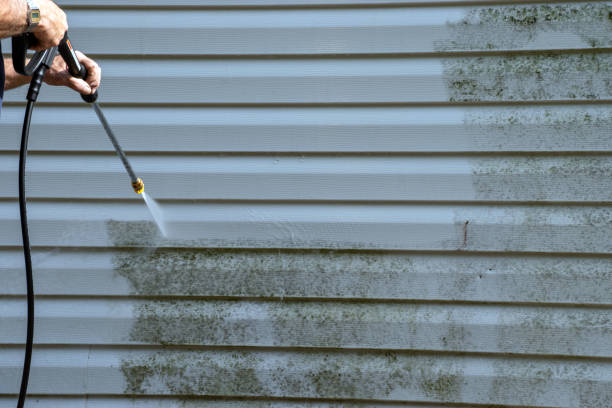Best Weatherproofing and Sealing  in Boone, NC